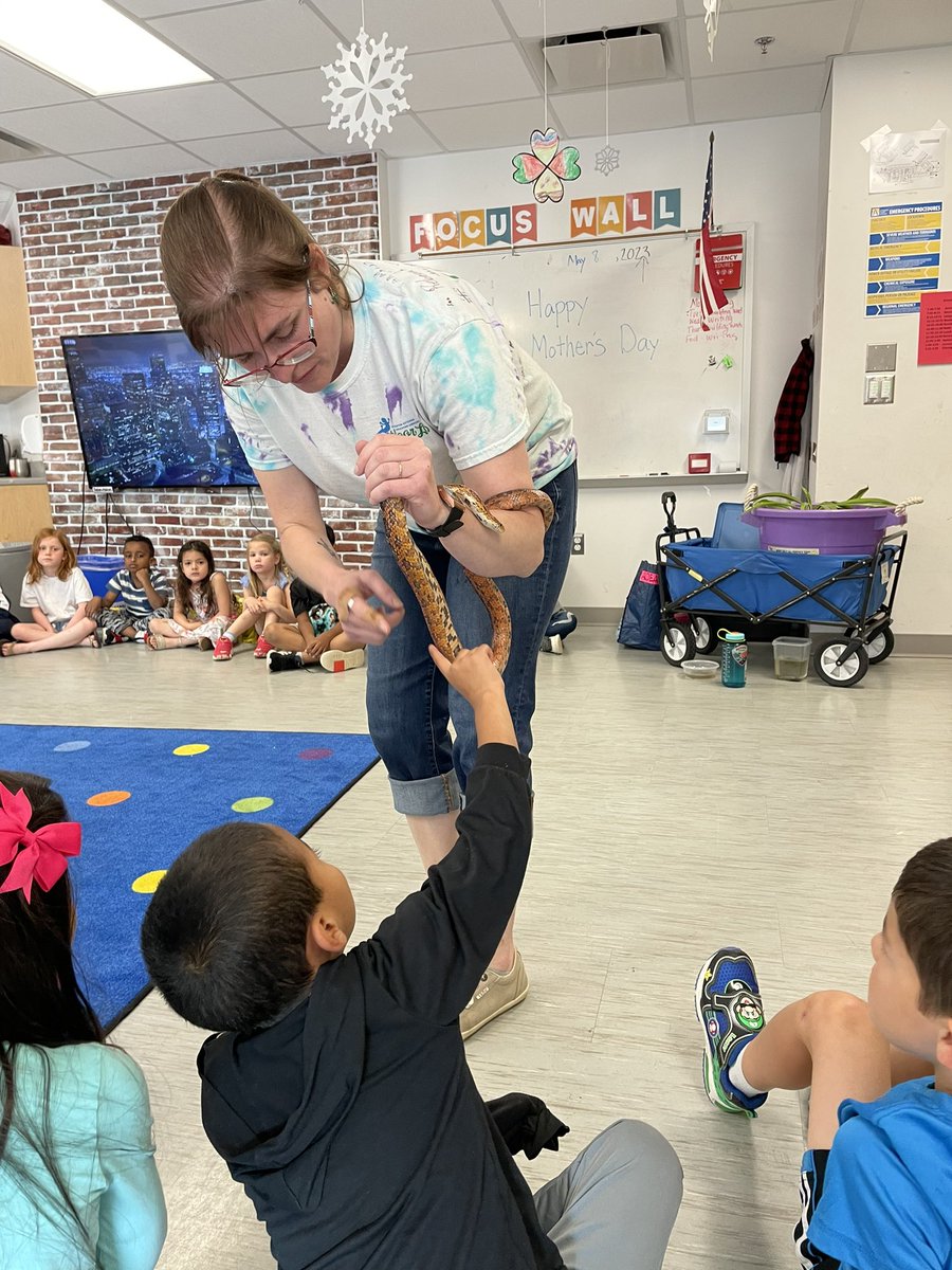 Sarah Tyson tweet media