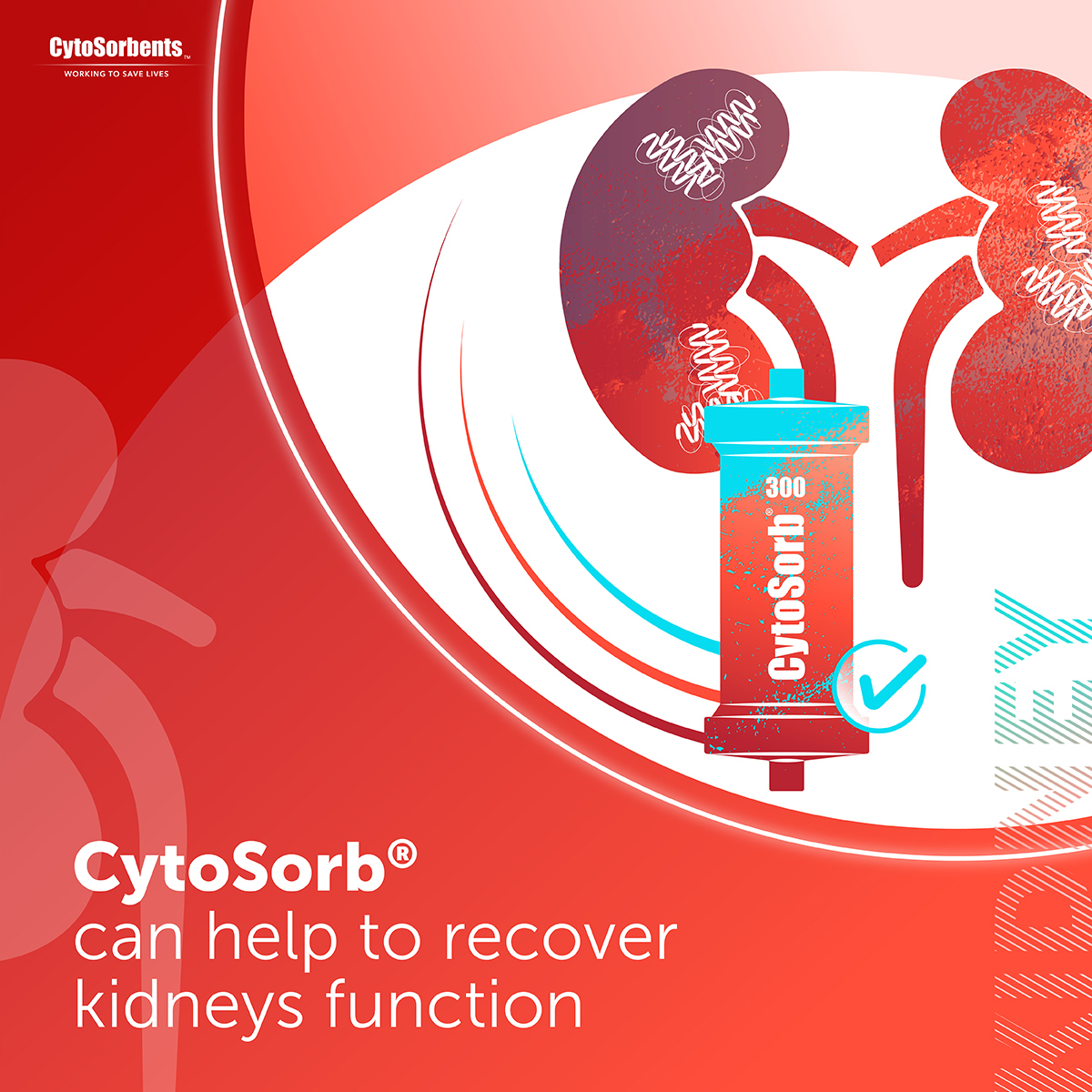 CytoSorbents's tweet photo. Myoglobin release in the bloodstream may lead to tubular,vascular & inflammatory injury of the #kidneys
Timely #myoglobin removal with CytoSorb® has shown to enhance kidney function recovery&may help prevent acute kidney injury.
More 👉 https://t.co/hHm8mb5fiM
#CytoSorbents #AKI https://t.co/wsUtx47TH7