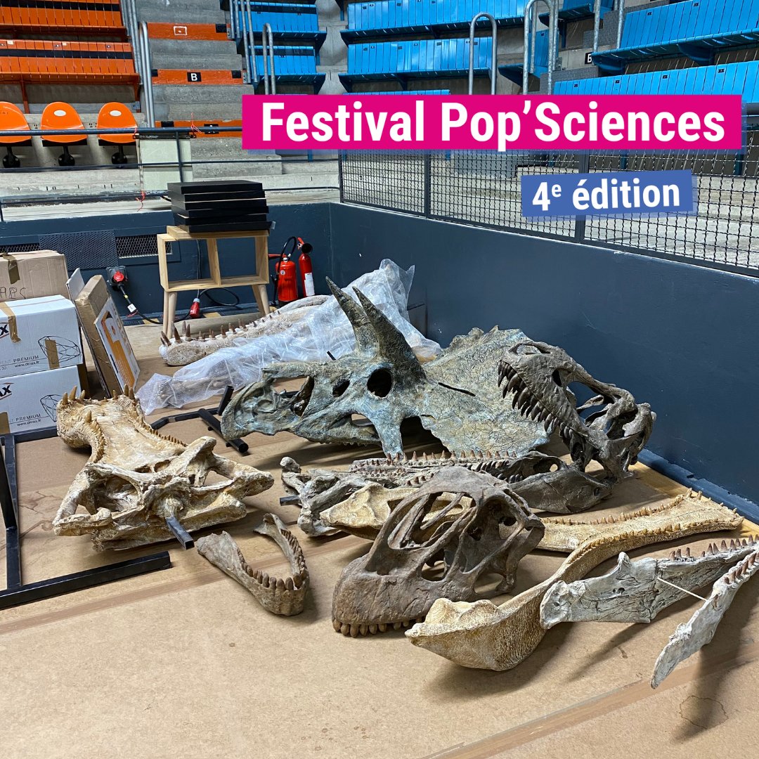 [Festival Pop’Sciences] Les coulisses du festival : J-1

⌛️ Le festival commence demain ! Êtes-vous prêts pour 3 jours intenses de découvertes et d’échanges autour des sciences?  Nous oui ! 

🎉Rendez-vous demain !🎉

Le programme ici 👇
…stival-popsciences.universite-lyon.fr/vf/