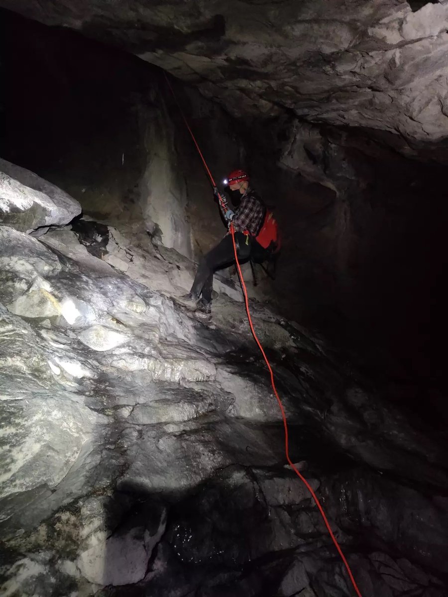 Recently retired Carl Herzog left his mark in the world of bat conservation through his technical knowledge and critical mind. Read as colleagues nationwide thank Carl for his efforts as a scientist, mentor and friend. fws.gov/story/2023-05/…

Photo courtesy of Katelyn Ritko