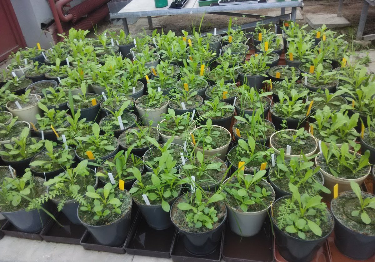 Javier Puy tweet media