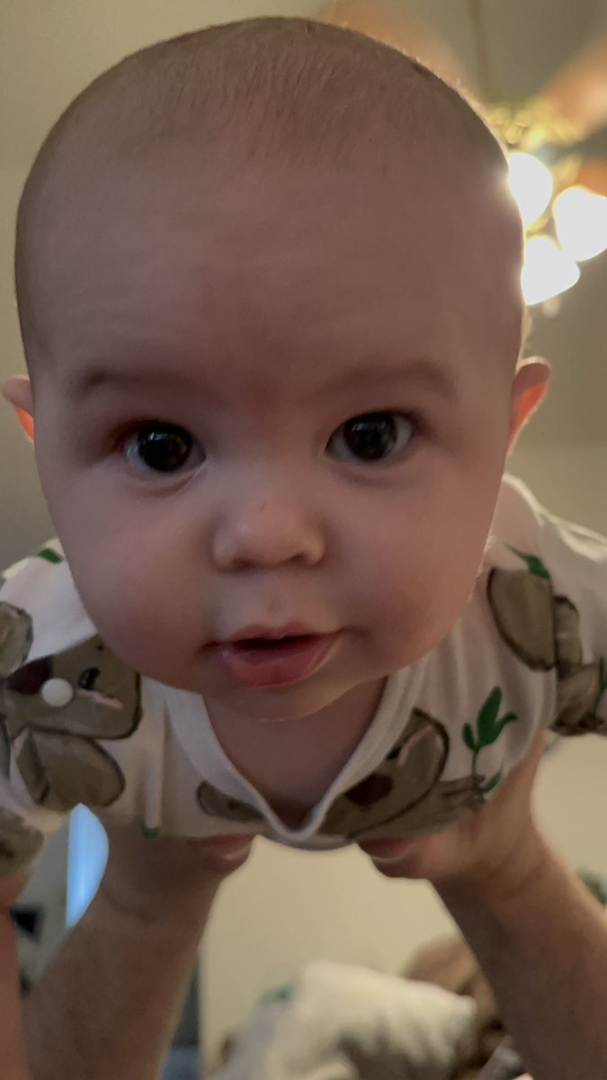 MamaBones17's tweet photo. Mr. Luca! https://t.co/5aTcGlviRV