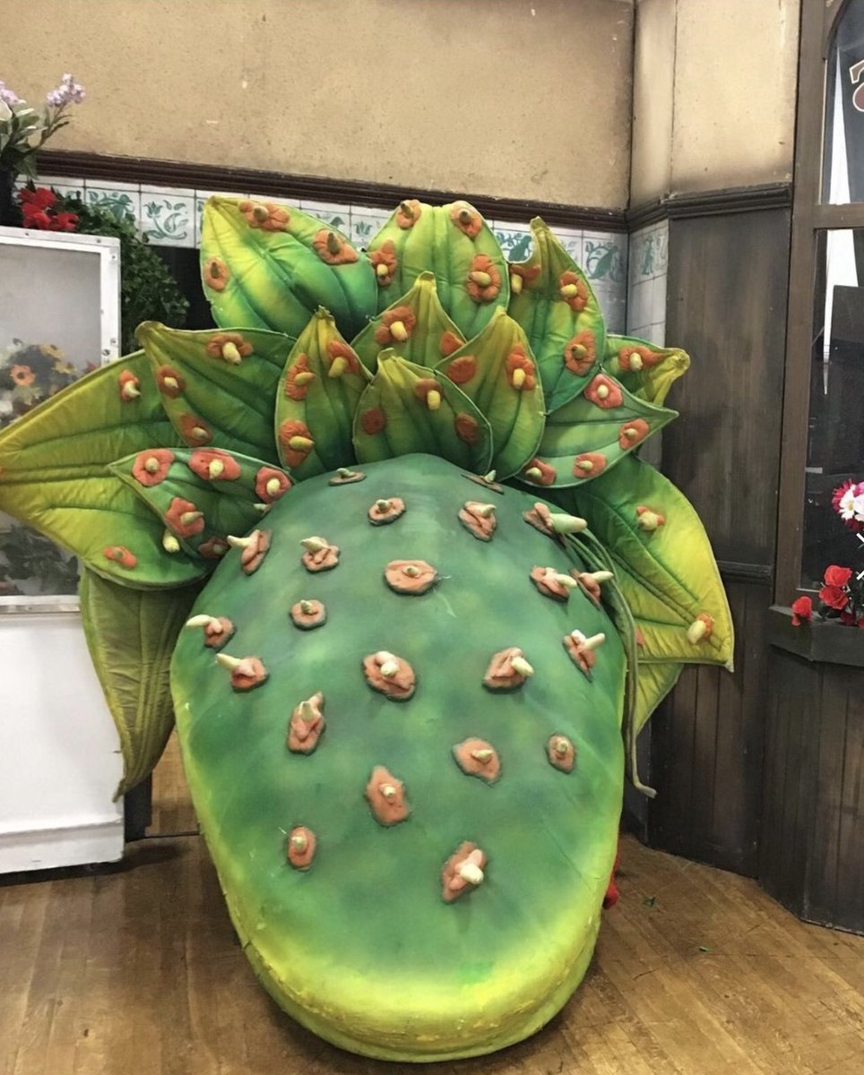 gabbot_drama's tweet photo. It only feels like five minutes ago we were performing Little Shop of Horrors and yet here we are, only 8 weeks away from our next whole school production, Oliver! #ThrowbackThursday #audreytwo #LittleShopofHorrors #December2021 #Oliver2023 #Wholeschoolmusical 🥣 #summermusical https://t.co/ns9NG6w2Ov