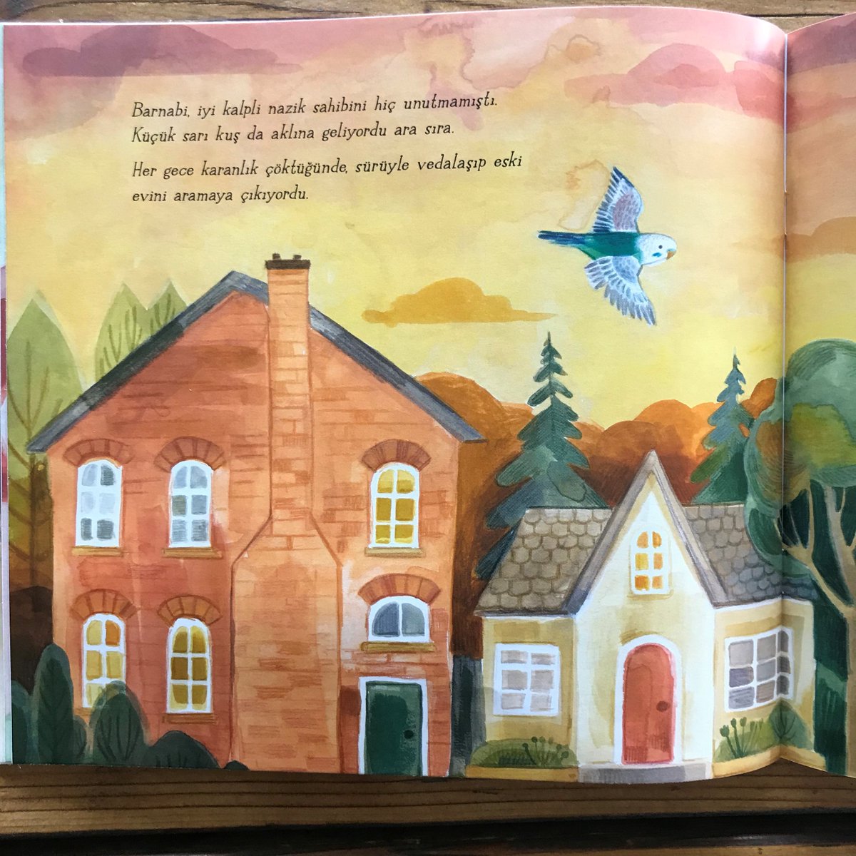 Küçücük bedeninde koca bir yürek taşıyan muhabbet kuşlarını çoğumuz biliriz.

Yeni Kitap!
Küçük Mavi Kuş Barnabi çıktı...

#kitap #çocukkitapları #çocukkitabı #çocukkitabıönerisi #çocukkitabıtavsiyesi #resimlikitap #1001çiçekkitaplar #barnabi #muhabbetkuşu #muhabbetkusu