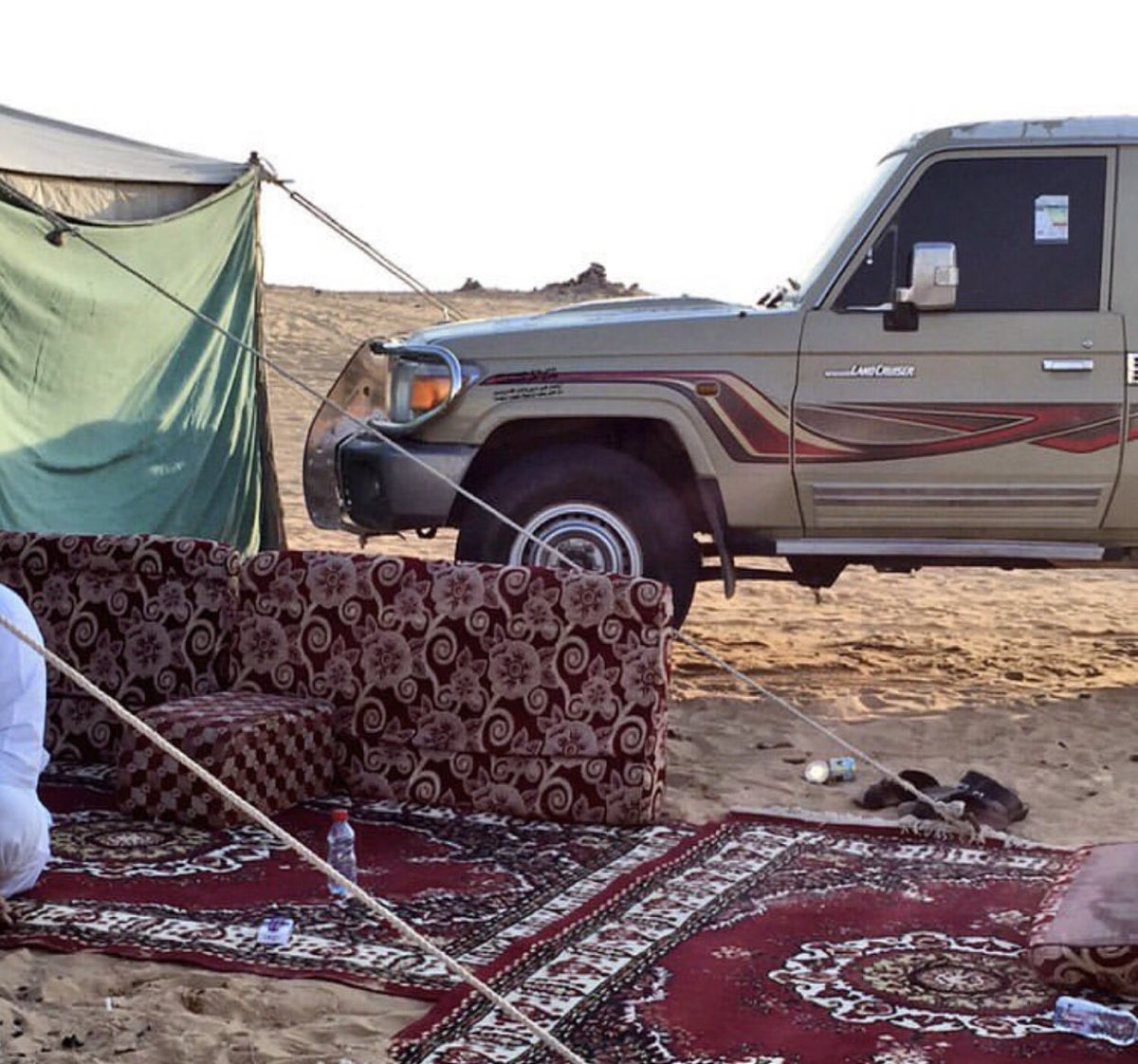 راعيها tweet media