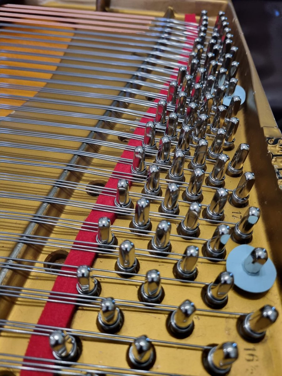 PianoIndustry's tweet photo. Here is a glimpse at the art of re-stringing, using high quality strings and tuning pins.

This piano, Steinway Model Z,  will sound and feel like new soon enough, thanks to our excellent piano technicians.

#piano #pianoindustry #pianotechnician #pianostrings #steinway https://t.co/thR068A7GE