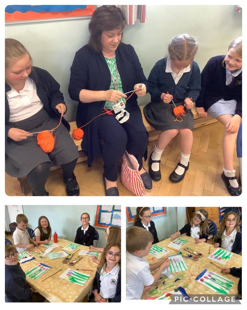 Congerstone Primary tweet media