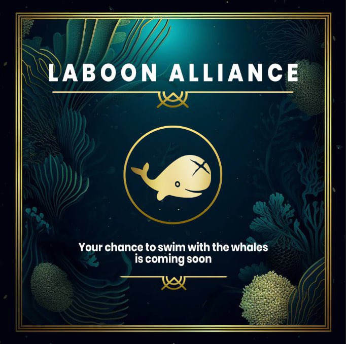 Laboon Alliance tweet media