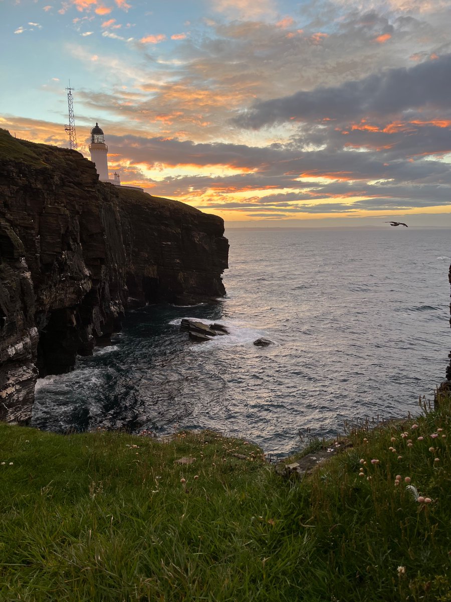 Anyone love geriatrics medicine, puffins, wild swimming and hate on calls..

Also looking for a specialty dr in Geriatric Medicine 

apply.jobs.scot.nhs.uk/Job/JobDetail?…

Free accommodation at my lighthouse if you’re interested and want to have a look around.
