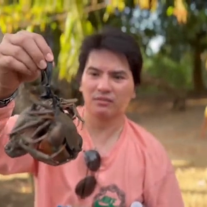 The One and Only nag bunso #MygzMolino
MAHAL KA NAMIN BUNSO
#MYGZMOLINOinAbeerden