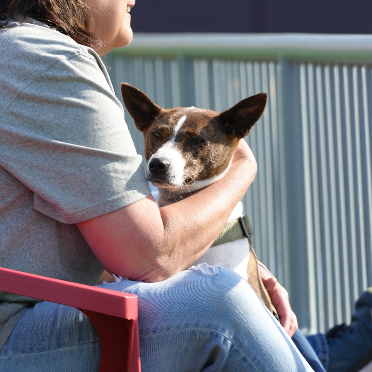 Lake County Captains on Twitter "time spent with your dog at a