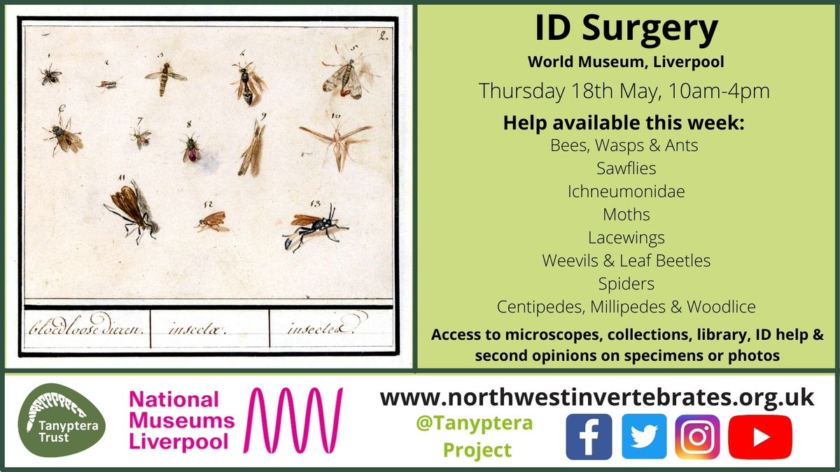 Join us for an ID surgery in World Museum's Entomology Lab next week🐝🐜🕷

You will have access to microscopes, collections, library, ID help and second opinions on your invertebrate specimens or photos 🔬

More info and booking: eventbrite.co.uk/e/id-surgery-t…