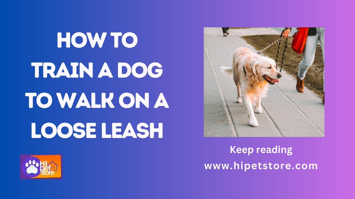 How to Train a Dog to Walk on a Loose Leash
hipetstore.com/train-a-dog-to…

#dog #dogs #pet #pets #cat #cats #dogstore #catstore #petstore #dogtips #cattips #pettips #doglover #petlover #catlover #puppy