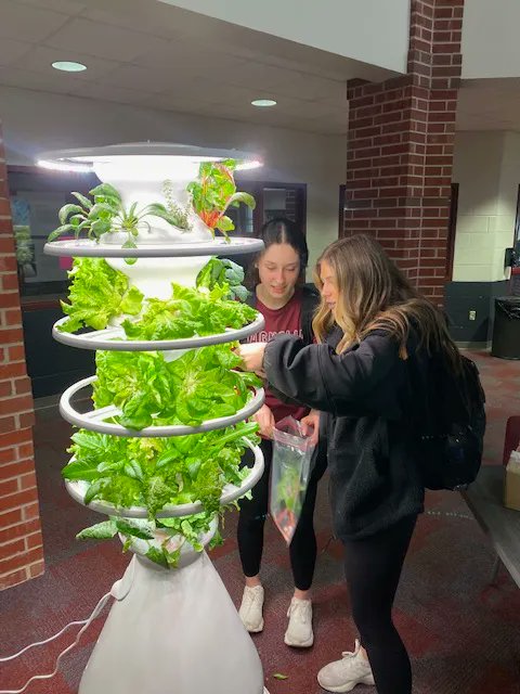 MagnoliaISD's tweet photo. Students and staff at @MagnoliaHighTX recently enjoyed fresh produce from the school's hydroponic gardening system thanks to a grant from the Magnolia Education Foundation. Read more here:https://t.co/19wIZeFBP9 https://t.co/ajCaWLzXxU