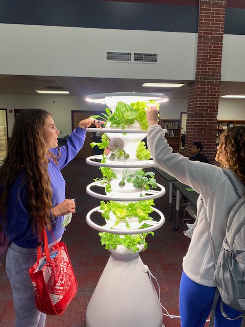 MagnoliaISD's tweet photo. Students and staff at @MagnoliaHighTX recently enjoyed fresh produce from the school's hydroponic gardening system thanks to a grant from the Magnolia Education Foundation. Read more here:https://t.co/19wIZeFBP9 https://t.co/ajCaWLzXxU
