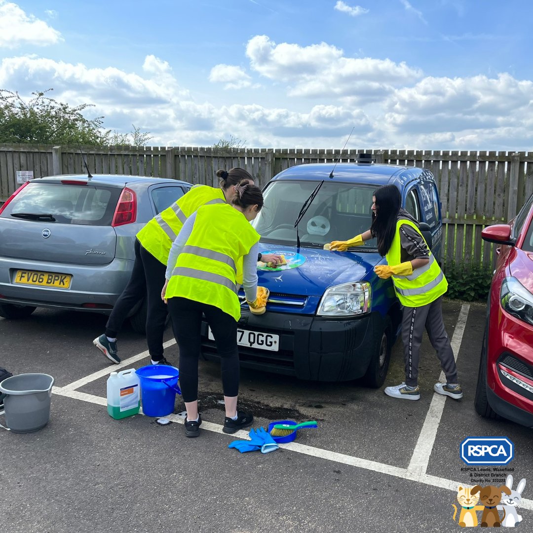 ⭐We want to say a huge #ThursdayThankYou to the team at @RSMUK, who visited our centre last week for a corporate volunteering day! 

🐾During their day with us, they washed all the windows at the centre, applied vinyl to the windows in our cattery, and washed our branch vans!