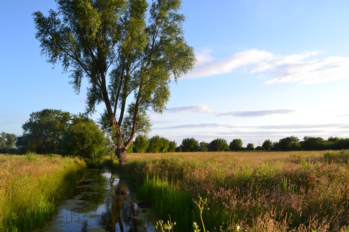 Cronfa Treftadaeth y Loteri Genedlaethol tweet media