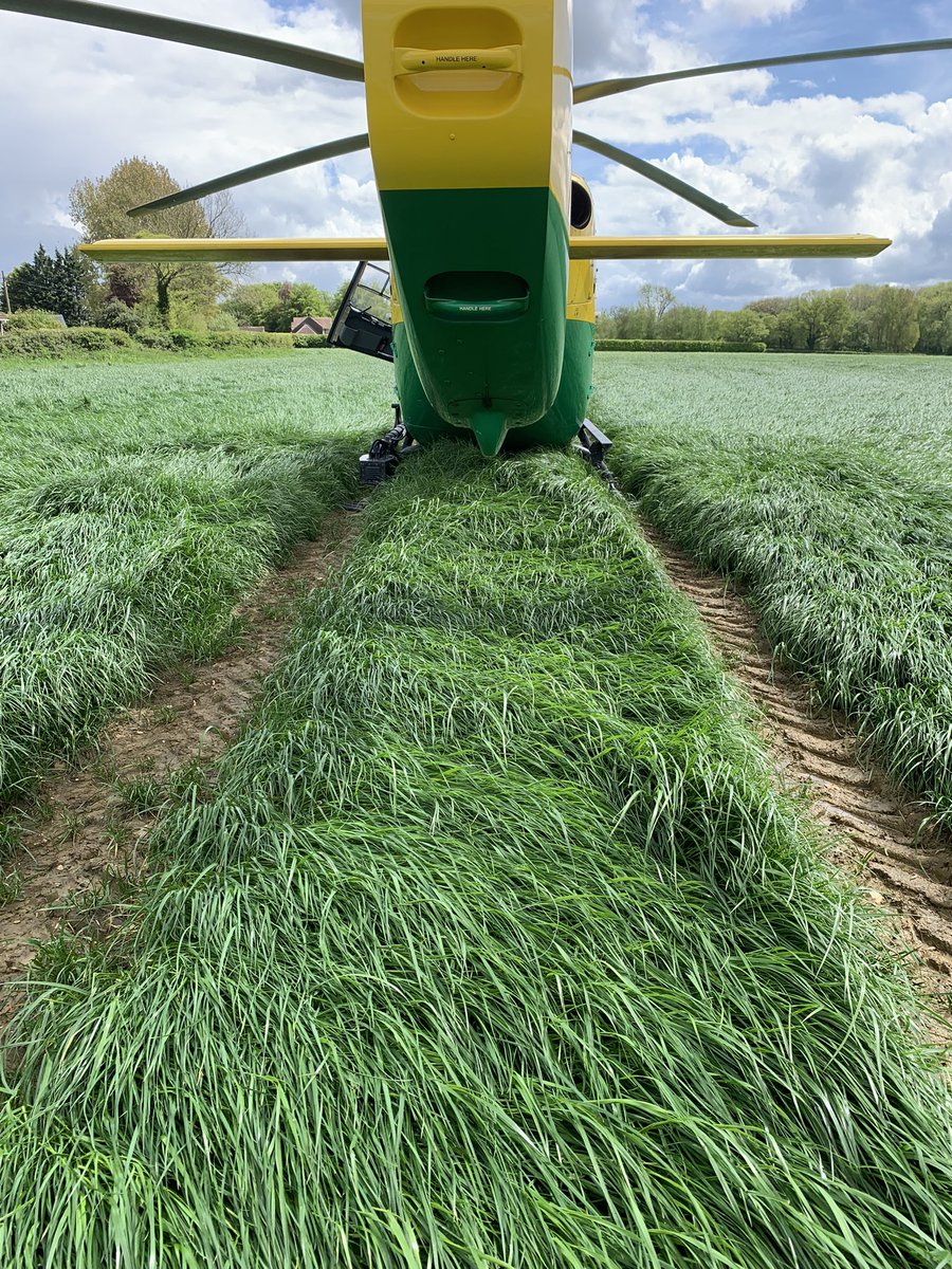 Air Ambulance Pilot tweet media