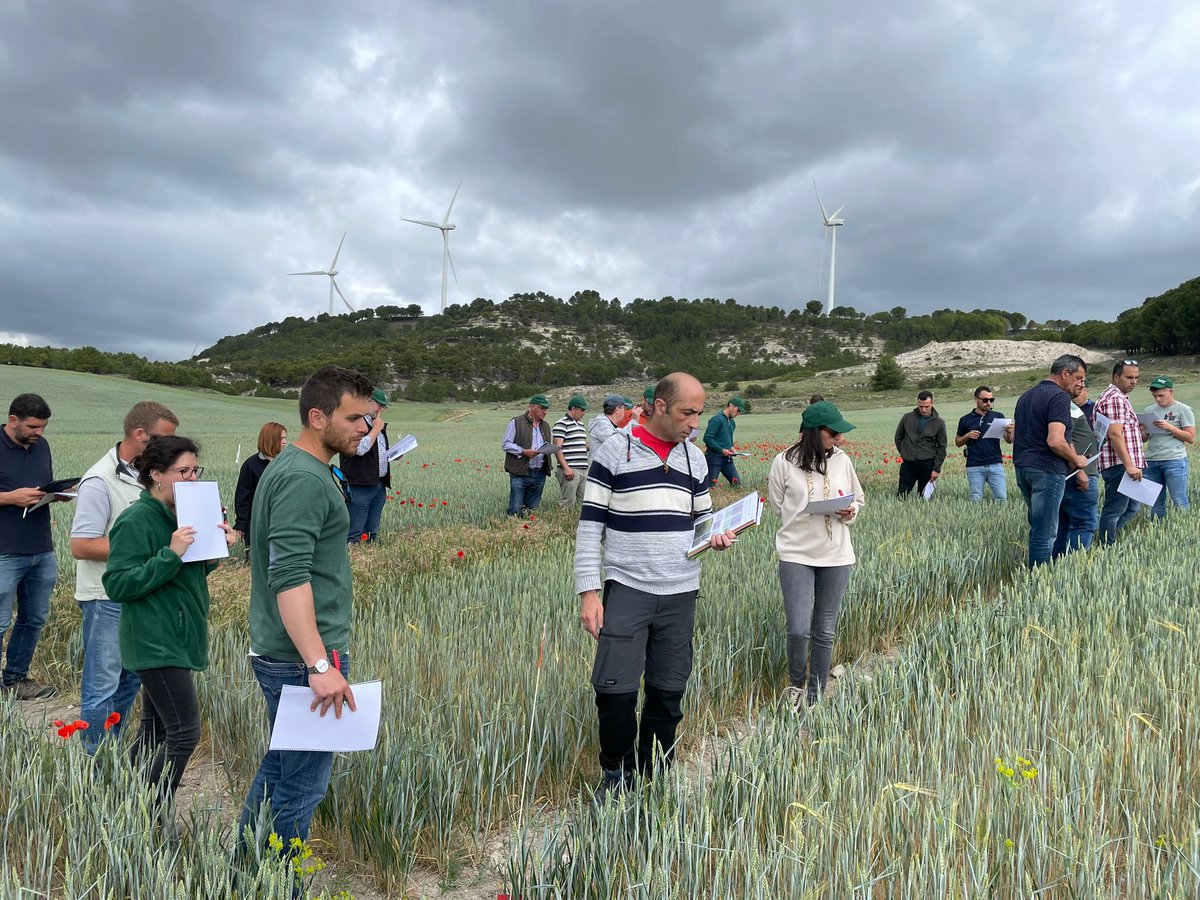 ¡Damos por finalizadas las jornadas de campo de #cereal de invierno 2023! 🌾🧑‍🌾❄️

👏Gracias a todos los participantes, ¡os esperamos el año que viene con más #innovación y resultados🔝💡!