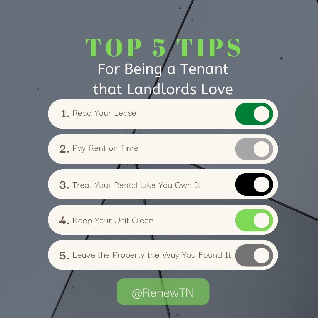 Want to maintain a good relationship with your landlord? Here are our top 5 tips
.
.
.
#Tips #Top5 #Thursday #Nashville #Tennessee #RealEstate #PropertyManagment #Rentals #ThursdayVibes #ThursdayThoughts #ThursdayMotivation