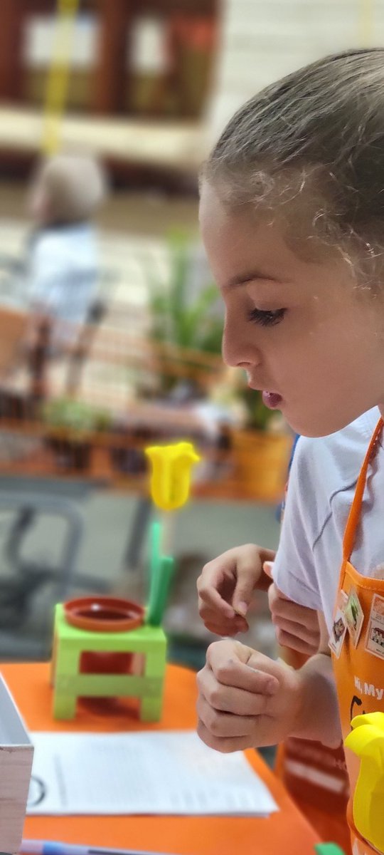 PATRICIA MABEN tweet media