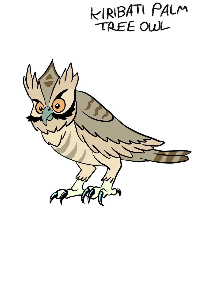 Tomjarobz93's tweet photo. Early coloured Kiribati Palm Tree Owl design for @thevalecartoon. Last ep in 4hrs . #drawing #conceptart #illustration #creaturedesign #thevale #thevalecartoon #owl #kiribatipalmtreeowl #birdsofprey #bird #beats #wales #welshanimation #animation #2danimation #cartoon #procreate https://t.co/e6WP7ZLEmq