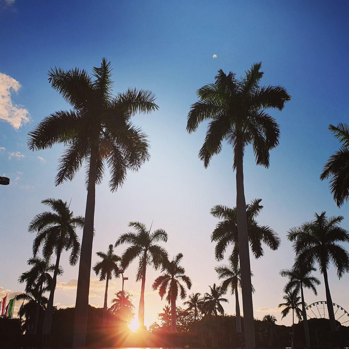 buttonhill's tweet image. #MiamiGrandPrix #Miami