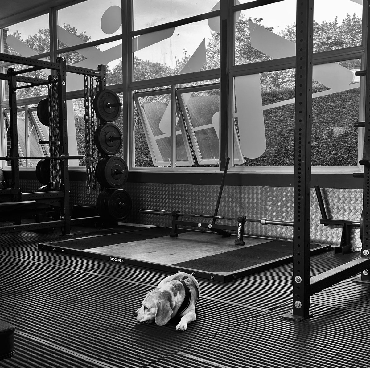 BobProwseGym's tweet photo. I want his life 🖤 https://t.co/DFszbXpojK