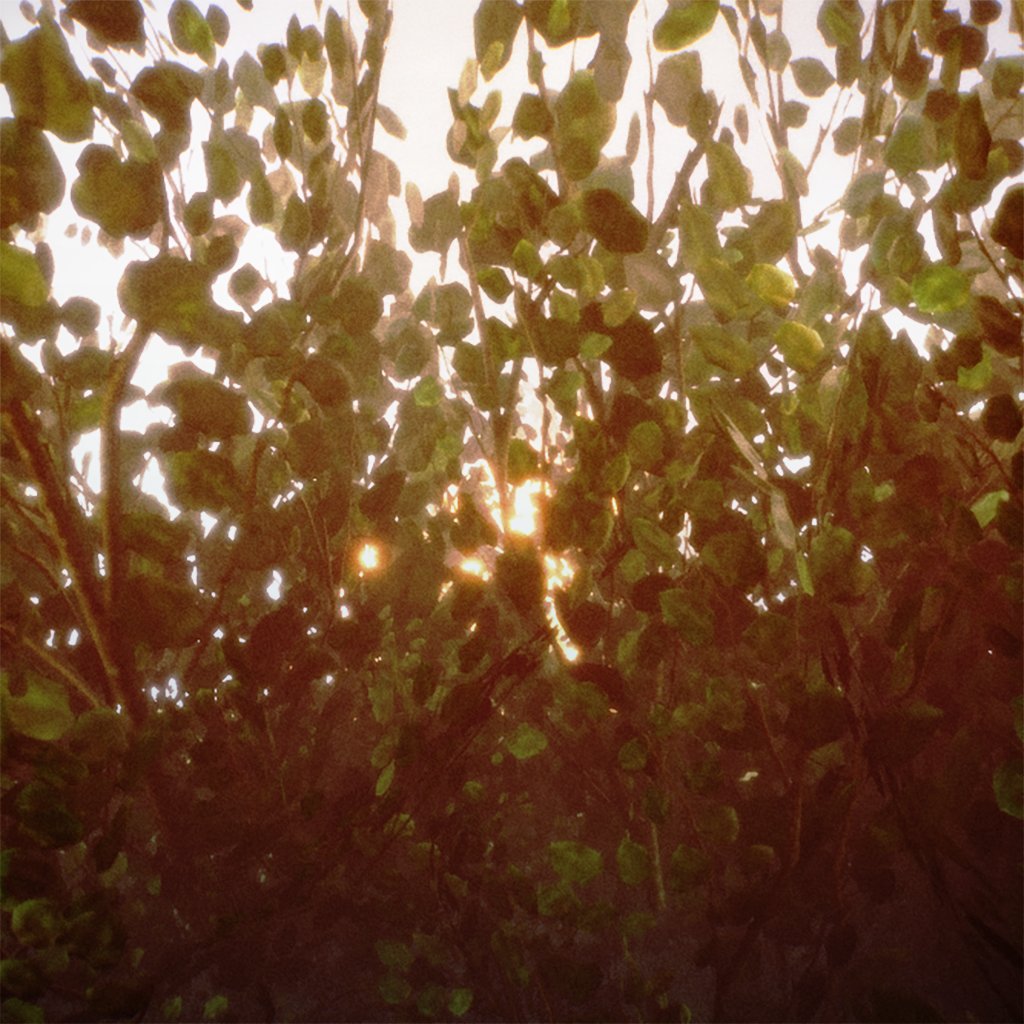 Paul Richarte (@mrkoroshiya) on Twitter photo Hello Twitter!
My next game, Feuille, will release on June 24!
It's an exploration game about an uncanny garden that will feature an original soundtrack by <a href="/Thilodeter/">Sthilo (COMMS OPEN)</a> Hello Twitter!
My next game, Feuille, will release on June 24!
It's an exploration game about an uncanny garden that will feature an original soundtrack by <a href="/Thilodeter/">Sthilo (COMMS OPEN)</a>