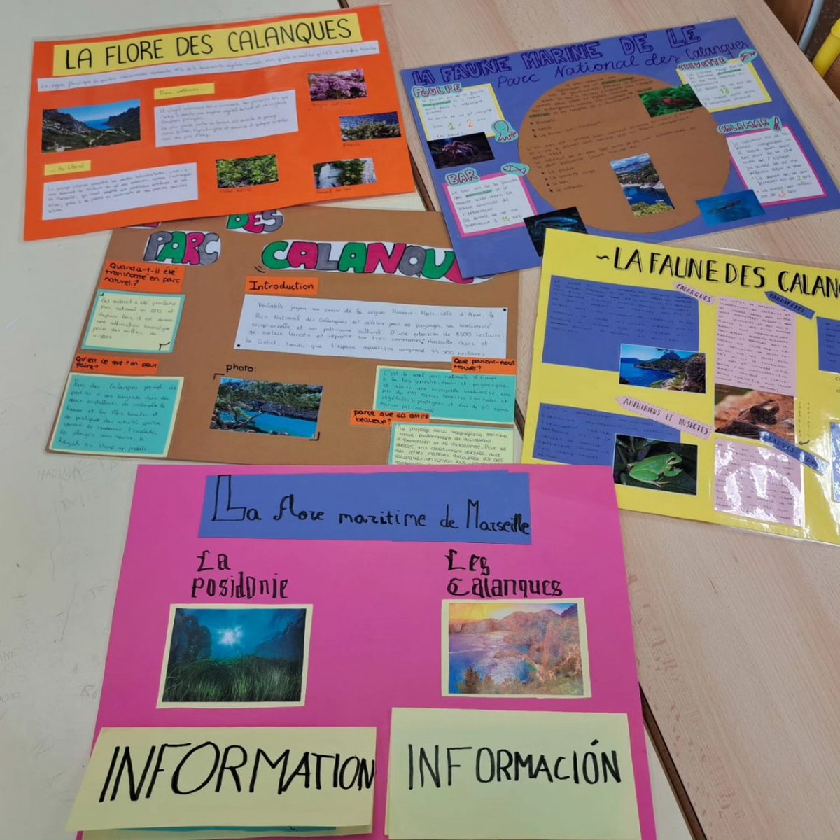 JosepDeRibera's tweet photo. 🇪🇺Nuestros alumnos y alumnas erasmus han trabajado hoy en Marsella🇨🇵 las diferentes especies animales 🐍🦎🦑🐟y vegetales 🍃🌺 que habitan el Parque Natural de #LesCalanques y han expuesto los trabajos oralmente.
#erasmusplus #Educacionenvalores #ods2030 https://t.co/dBoCzFdlfl