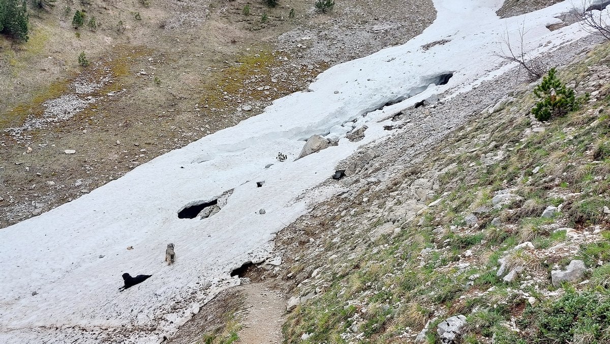 SGenepis's tweet photo. 11 mai 2023 : maintenance des stations @ROMMA_asso
de Miribel Lanchâtre et Gresse en Vercors (où nous avons changé l'anémomètre) puis petit rando sous le Grand Veymont (hors parc Naturel et Régional du Vercors)
En photo le sommet de Pierre Blanche https://t.co/KfjrgRj5f7