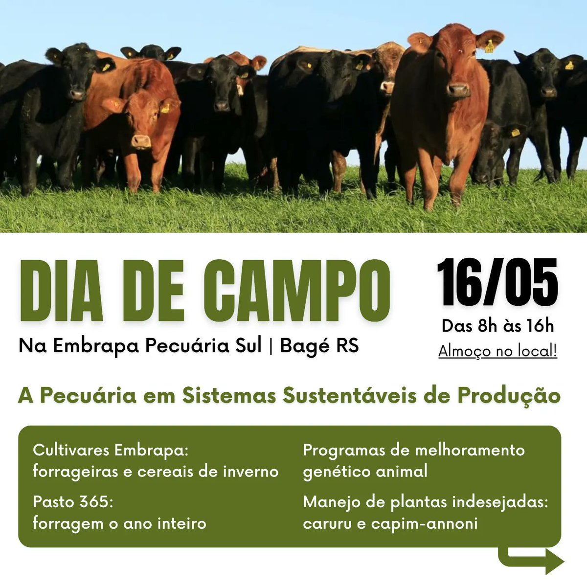 Embrapa Pecuária Sul tweet media