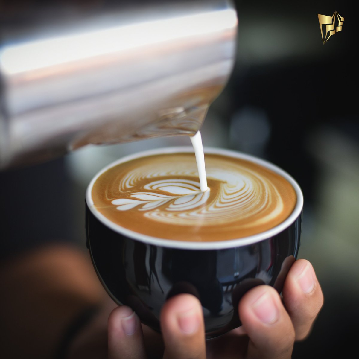 psmkgcoffee's tweet photo. For coffee lovers, by coffee lovers ☕️❤️Get your coffee today all the way from Ethiopia at Paramount Coffee

🌐https://t.co/SRl71PXS0E
☎️1(800)545-8619

#coffeedrinkers #specialitycoffee #coffeelovers #ethiopiancoffee #officecoffee #coffeebreak #coffee #roast #brew #health https://t.co/4qV76STXnj
