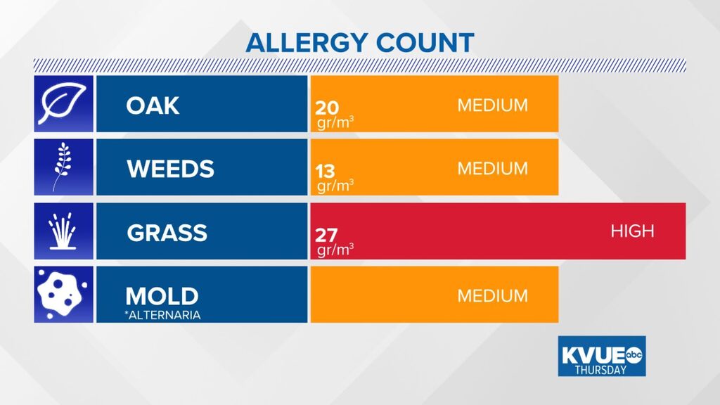 Austin Allergies tweet media