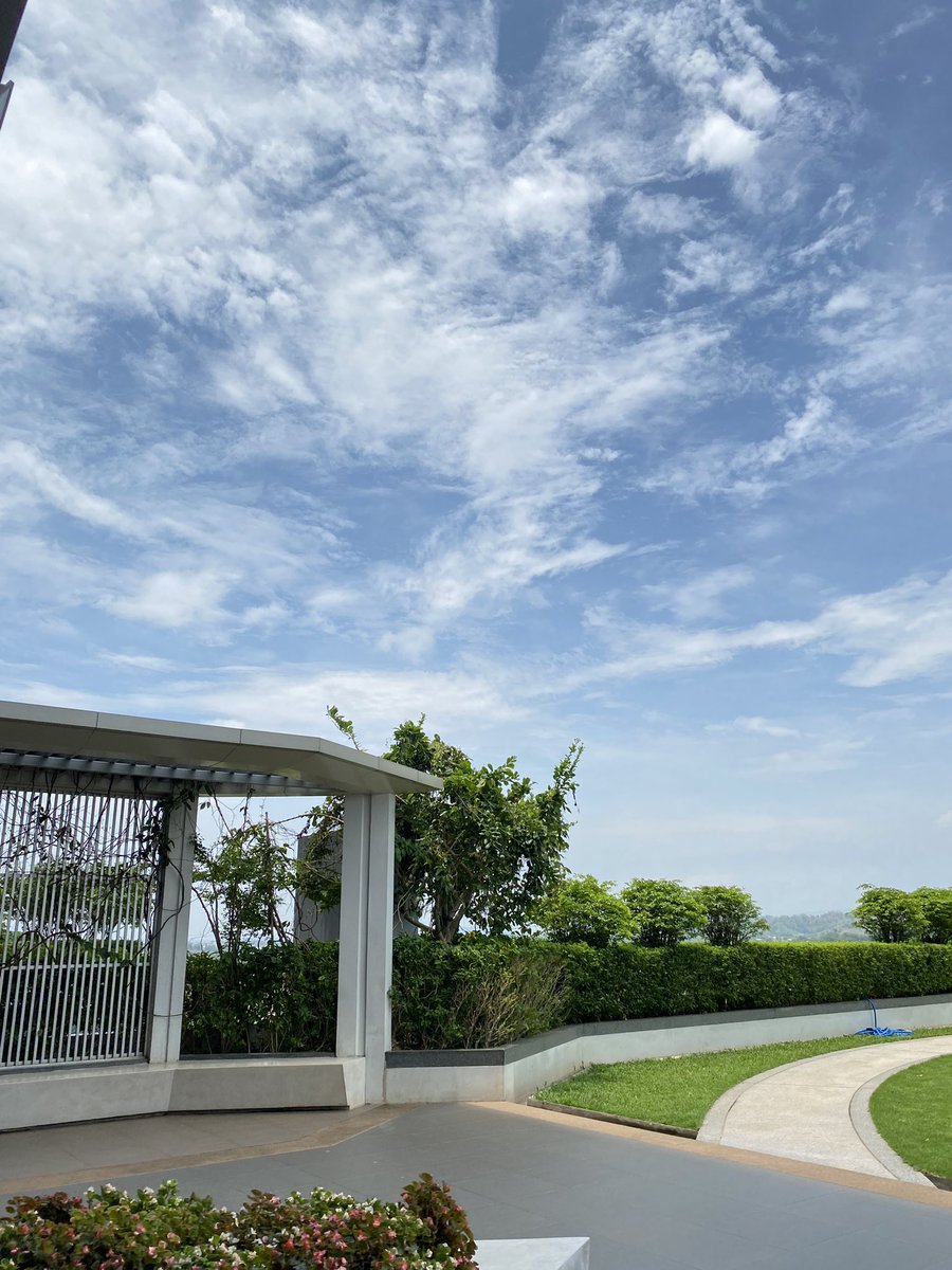 nonpat29 tweet picture