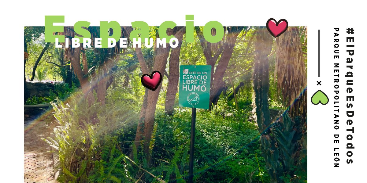parkmetroleon's tweet photo. El Parque Metropolitano es el pulmón de la ciudad 🍃🌿, por lo que este espacio es libre de humo. 🚫🚬💨
Seamos usuarios responsables, convivamos en armonía y respetemos los lineamientos.
#ElParqueEsDeTodos #30AñosMetropolitano 🌳🏞 https://t.co/Jx4waKjMbU