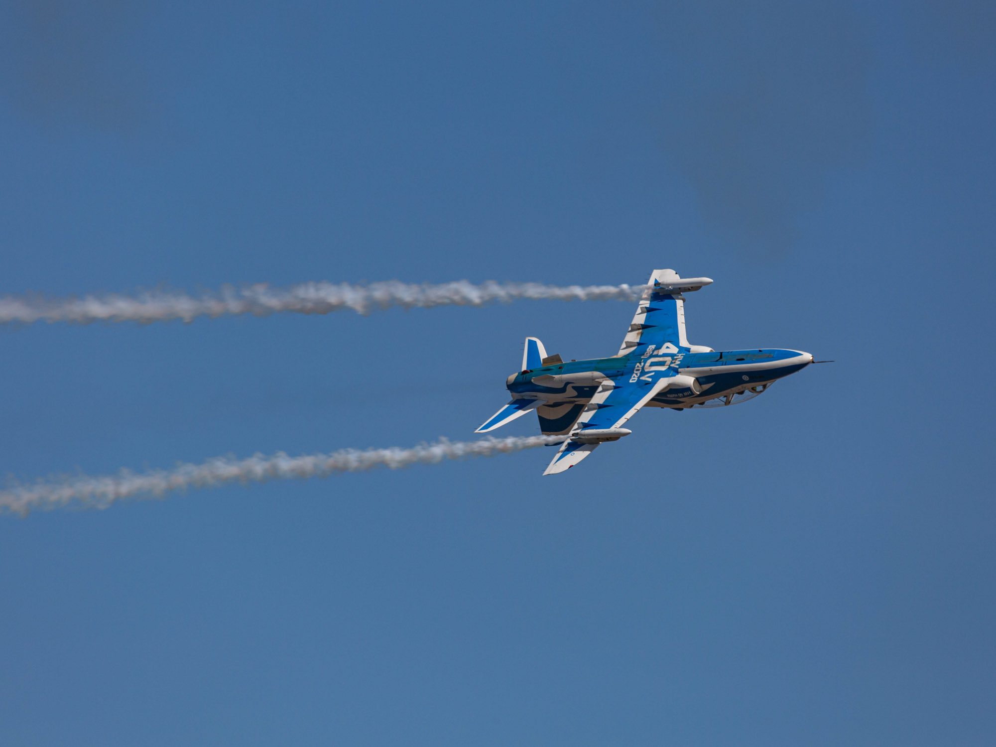 A solo hawk.