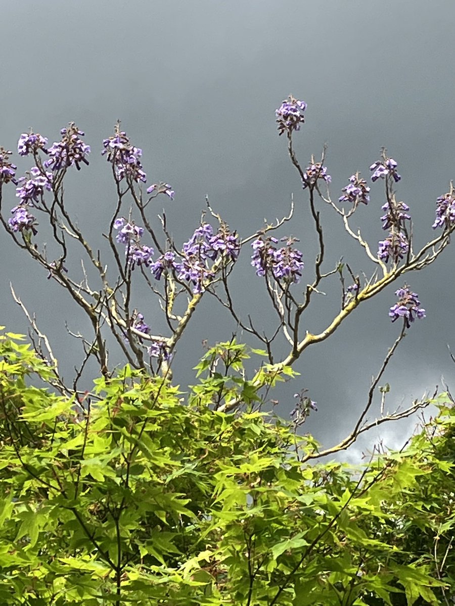 An all too familiar feel about the recent #weather looming across our ⁦<a href="/TrentUni/">Nottingham Trent University</a>⁩ landscapes ☔️🌧⚡️⛈