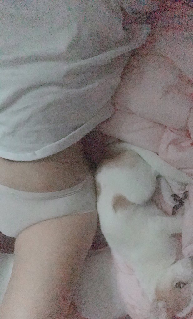 _du_bu_1's tweet photo. 행복한 두부네 집에서 가정부를 구합니다 ㅋㅋ
#섹트 #변녀 https://t.co/iLX9bB2cgD