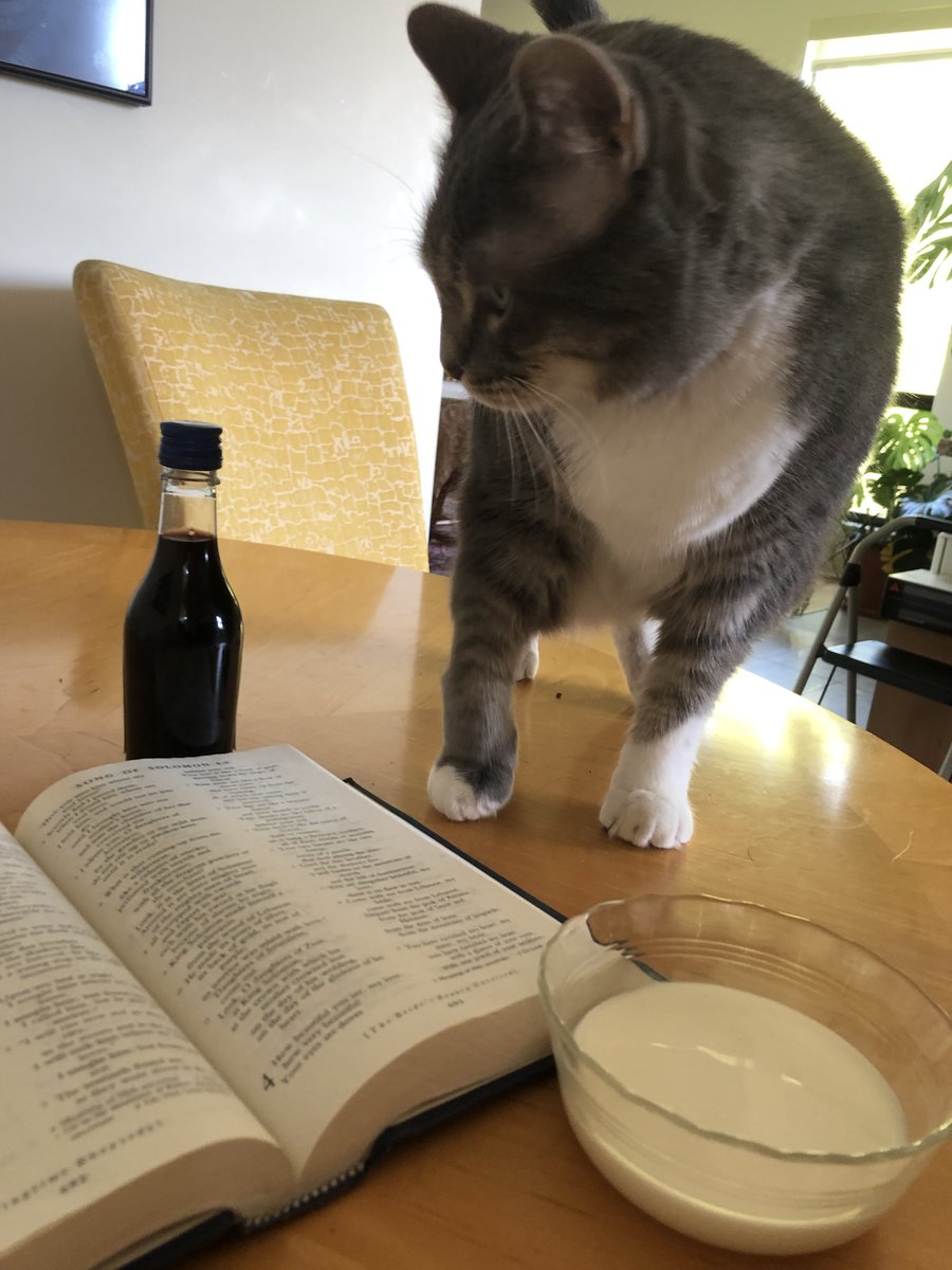 New! We look at the erotic — and therefore devotional? — lyric poetry of The Song of Songs. And we also take a peek at some of the medieval commentaries on the poem, which also get spicy...
megaphonic.fm/spouter/67