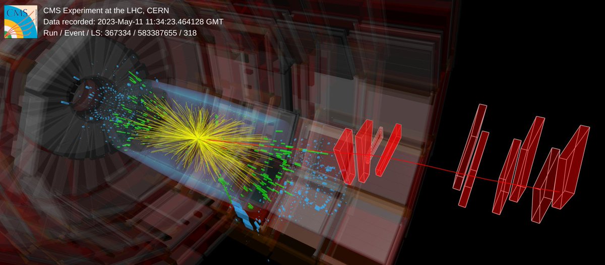 CMS is working at full intensity!
Another #LHC milestone: the beams passing through CMS now have 2400 bunches of protons! 
This is the maximum target for this year's #LHCRun3 and marks the start of the 'cruising' mode in the production of data CMS scientists need to work on…