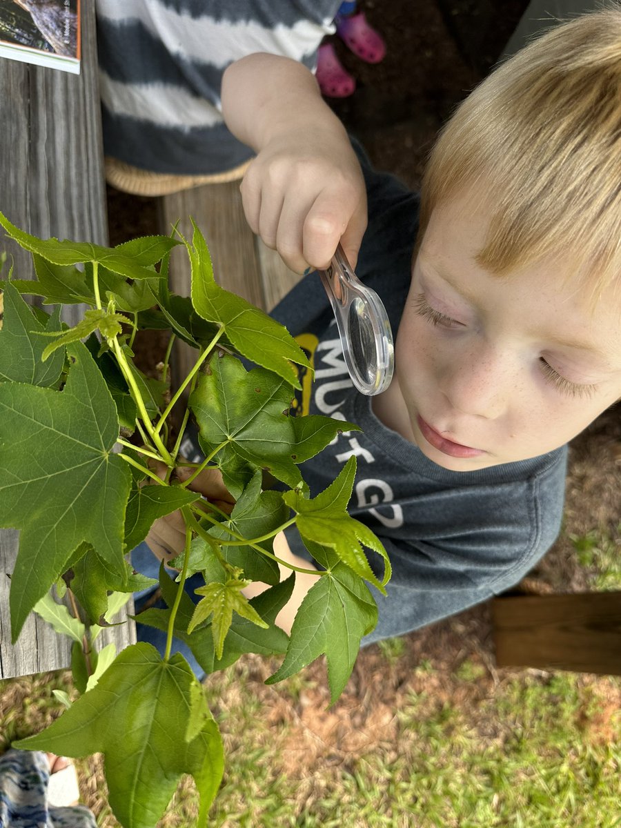 Hickory Grove - Sharon Elem tweet media