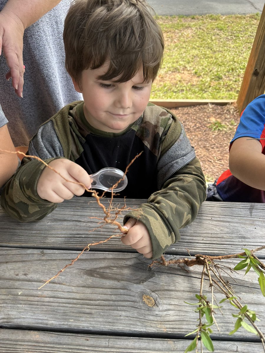 Hickory Grove - Sharon Elem tweet media