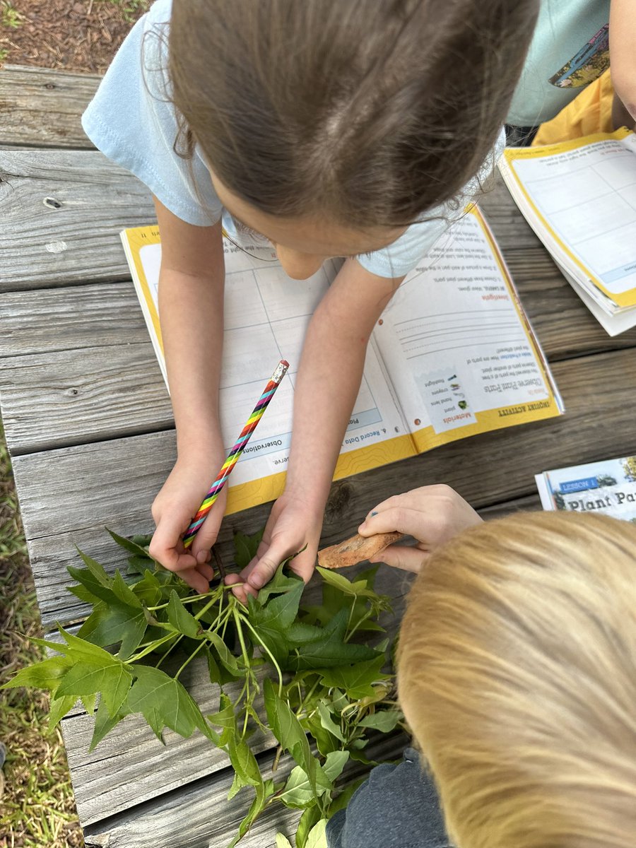 Hickory Grove - Sharon Elem tweet media