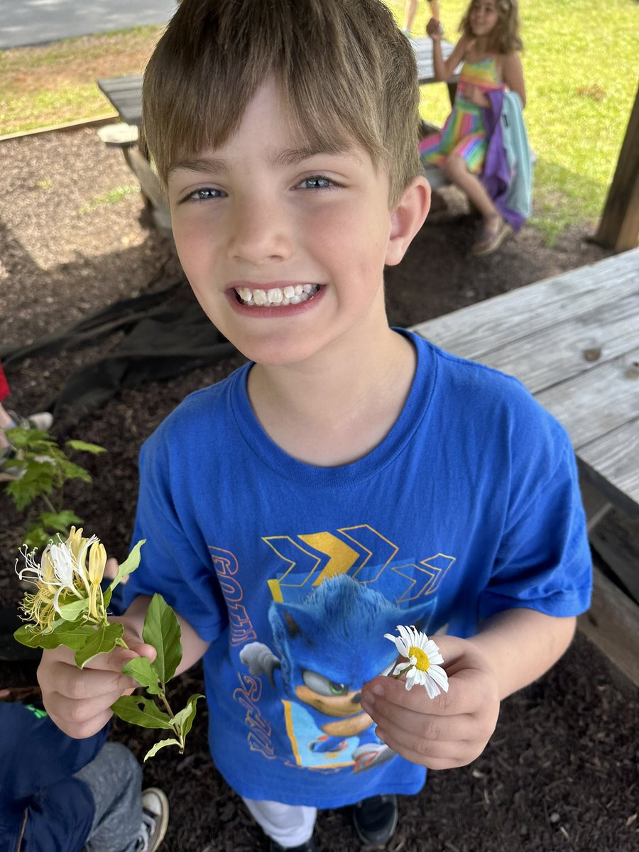 Plant Investigations in 1st grade!  
<a href="/York1Schools/">York 1 Schools</a> 
<a href="/York1HGS/">Hickory Grove - Sharon Elem</a>