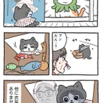 「ねこ転」その96が公開!負けを認めるプンちゃんが可愛い