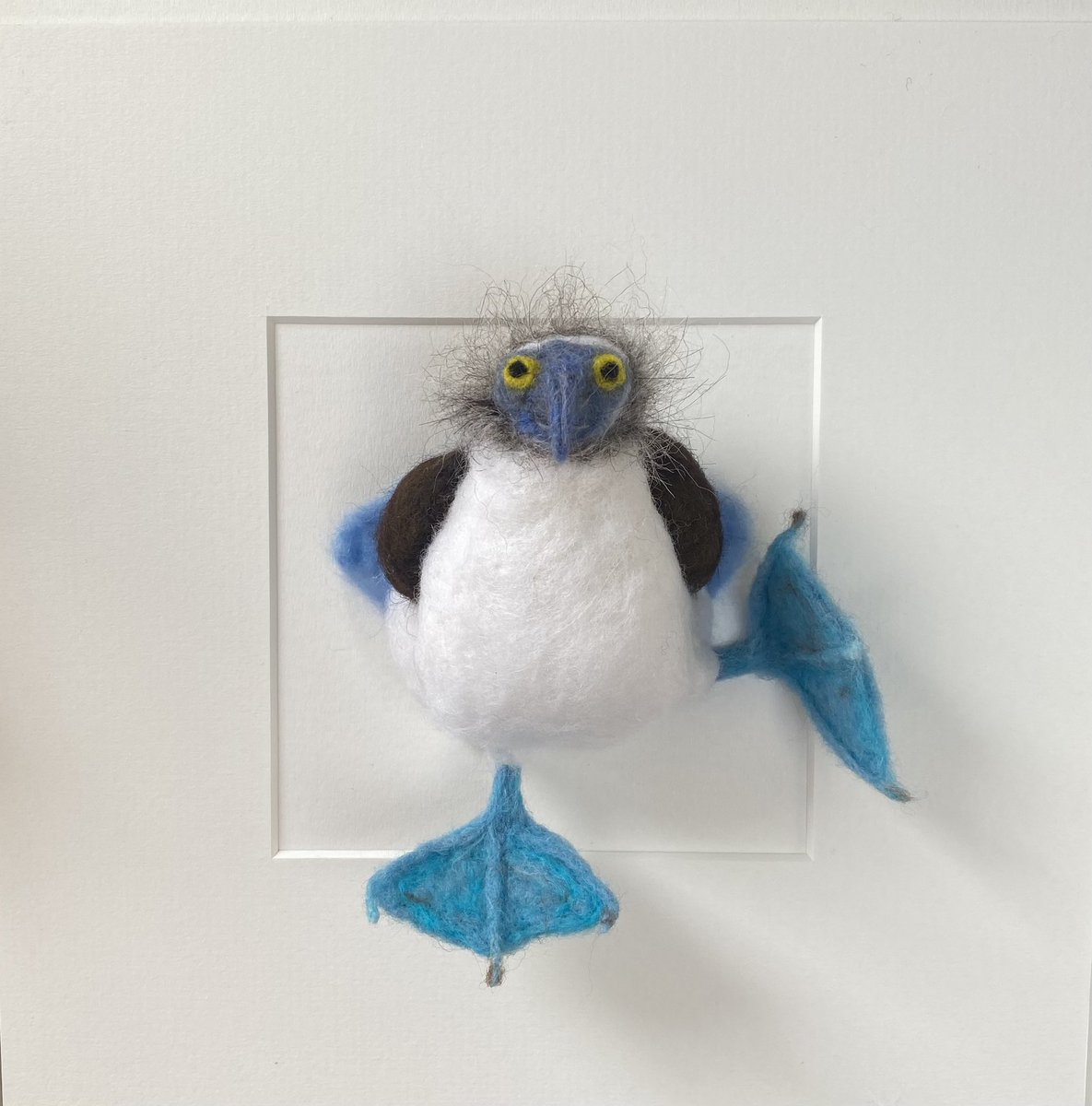 AbiFelting's tweet photo. Hello.. someone’s getting a Nigel for their birthday 😉                                                                                #nigel #boobybird https://t.co/X1BnaiiA9c