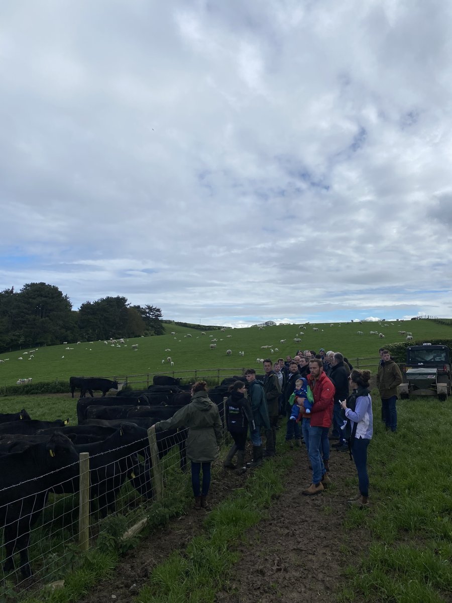 Elite Beef (@elitebeef) on Twitter photo Yesterday we held an Elite Beef open day in North Wales! Thank you to the Roberts family for hosting us! And a big thanks to all the speakers! It was good to meet lots of potential new suppliers!
<a href="/FarmersGuardian/">Farmers Guardian</a> <a href="/FarmersWeekly/">Farmers Weekly</a> <a href="/BuitelaarGroup/">Buitelaar Group</a> <a href="/farmermat1/">Mathew Roberts</a> <a href="/ProCamUK/">ProCam UK</a> <a href="/KWFeeds/">KW Feeds</a> Yesterday we held an Elite Beef open day in North Wales! Thank you to the Roberts family for hosting us! And a big thanks to all the speakers! It was good to meet lots of potential new suppliers!
<a href="/FarmersGuardian/">Farmers Guardian</a> <a href="/FarmersWeekly/">Farmers Weekly</a> <a href="/BuitelaarGroup/">Buitelaar Group</a> <a href="/farmermat1/">Mathew Roberts</a> <a href="/ProCamUK/">ProCam UK</a> <a href="/KWFeeds/">KW Feeds</a>