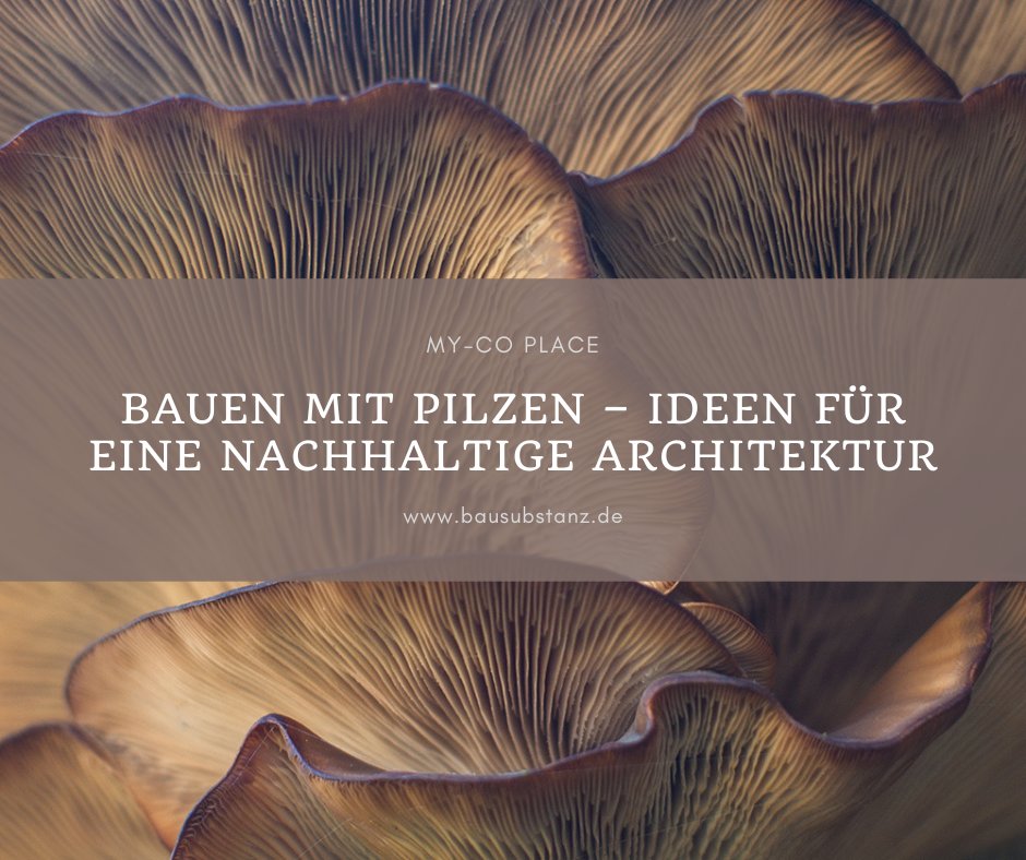 Bauen mit Pilzen – Ideen für eine nachhaltige Architektur.
Eröffnung des temporären Begegnungsraums MY-CO PLACE am 12. Mai 2023 am Ernst-Reuter-Platz. bausubstanz.de/aktuelles/Baue…