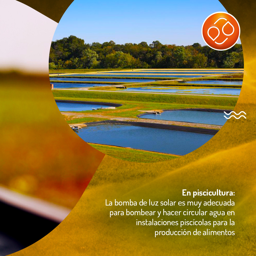 ealternativapy's tweet photo. Una bomba solar de agua tiene una amplia gama de aplicaciones, solicitá presupuesto y empezá a beneficiarte con la energía del sol para bombear agua.

📞 021 222 767 
📲0984 657 669

#BombaSolar #EnergíaAlternativa #ElegíVivirMejor https://t.co/hO9fBWp9tx